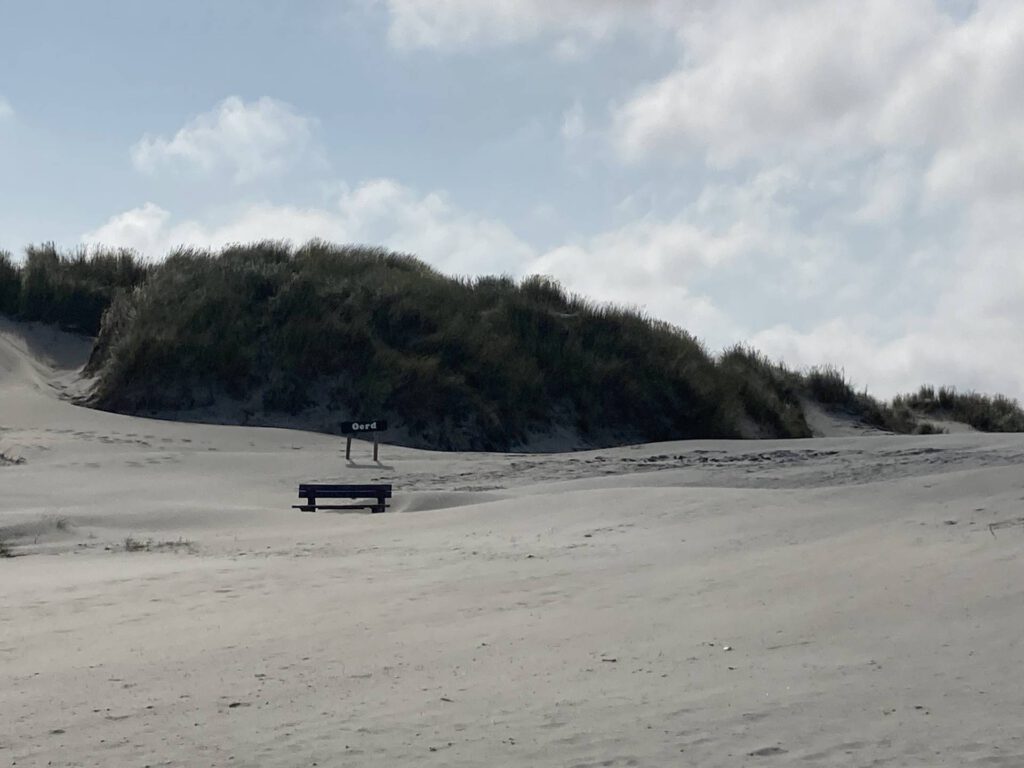 Uitzicht op Duinen