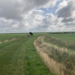 Een mooi uitzicht (2)