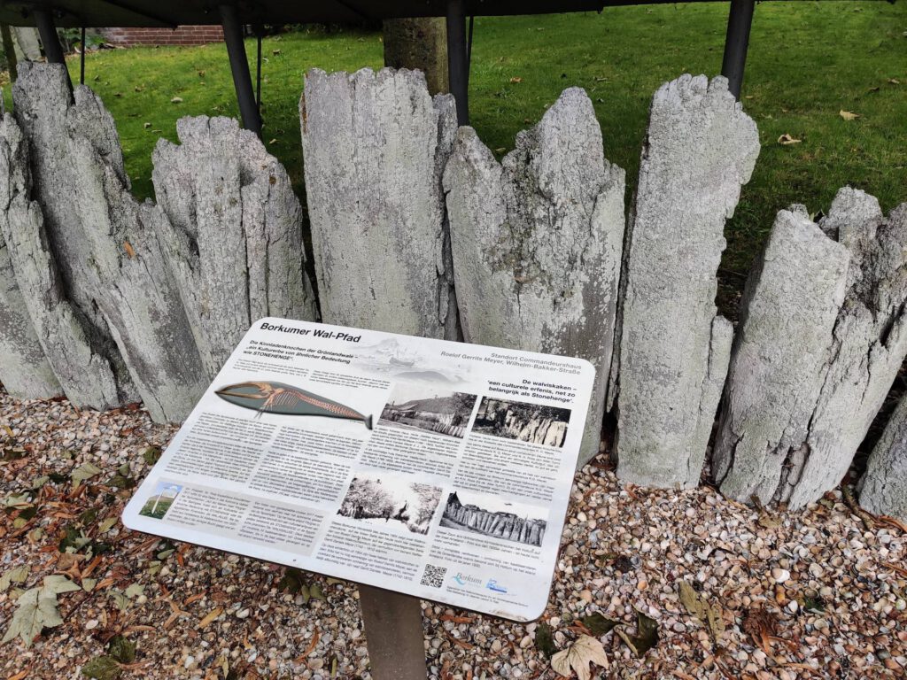 Walvistanden als schutting