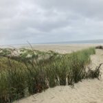 Uitzicht op het Strand