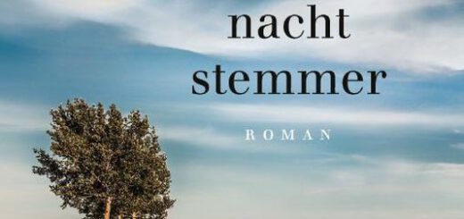 Boek : Maarten 't Hart - De Nachtstemmer