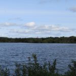 Uitzicht op de vogelvijver