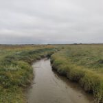 Uitzicht over een slootje