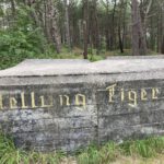 Een bunker in het bos