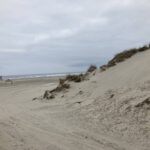 Uitzicht op het strand