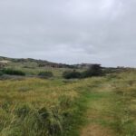 Bebouwing in de duinen