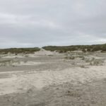 Uitzicht op de duinen
