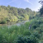 Een fraai uitzicht (1)