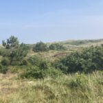 Een fraai uitzicht (3)