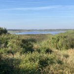 Uitzicht op vogelvijver (1)