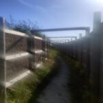 Pad naar vogelkijkhut