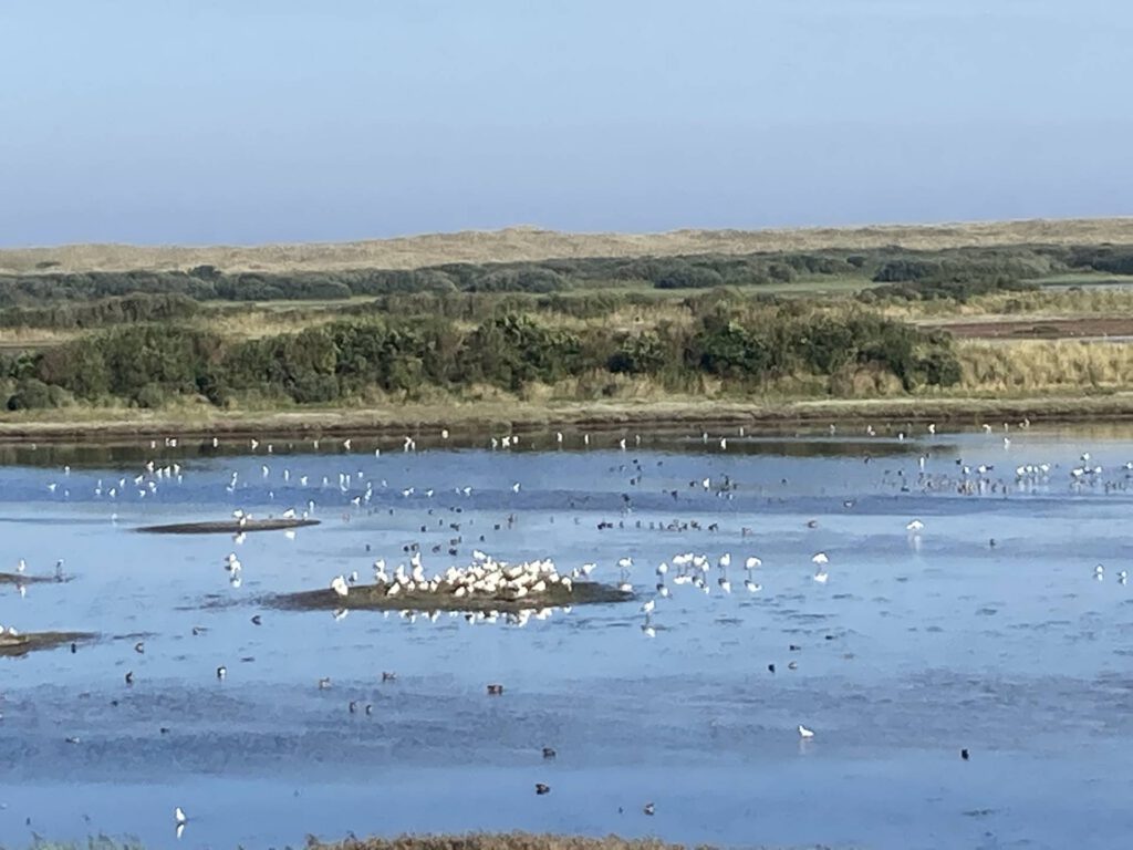 Uitzicht op vogelvijver (2)