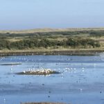 Uitzicht op vogelvijver (2)