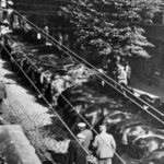 Paardenmark op de Dorpsstraat (1918-1922)