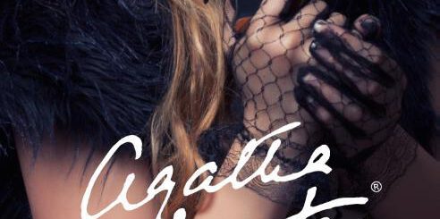 Boek : Agatha Christie - De Laagte