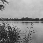Plas van Poot aan de Bleiswijkseweg