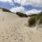 Fraaie Duinen (1)