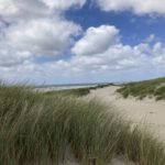 Fraaie Duinen (2)