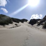 Fraaie Duinen (1)