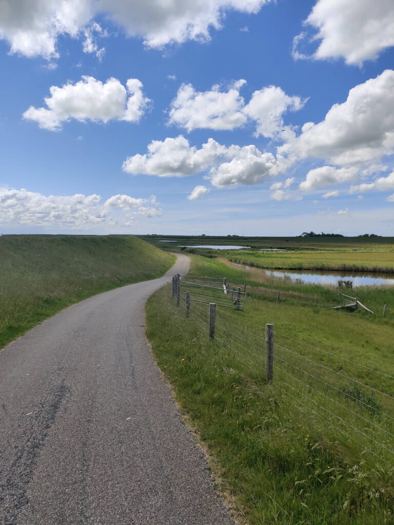 Een leuk fietspad (1)