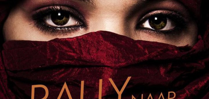 Boek : Agatha Christie - Rally Naar Bagdad