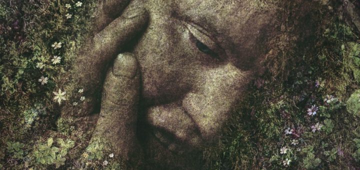 Film : Gräns (2018)