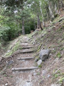 Een bijzonder pad een berg op