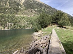 Een paadje over de rand van een meer