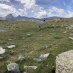 Paarden en een mooi uitzicht