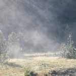 De stoom kwam van het gras af