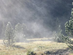 De stoom kwam van het gras af