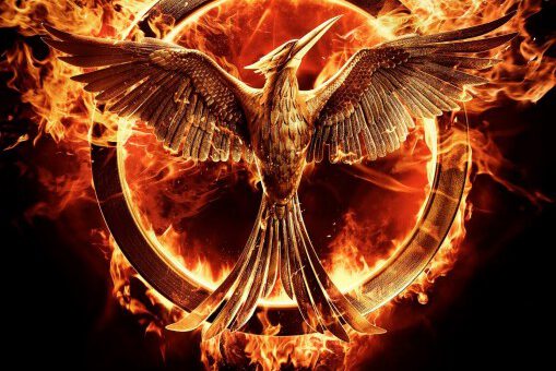 Film : The Hunger Games - Mockingjay Part 1 (2014)