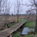 Houten wandelpad