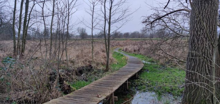 Houten wandelpad