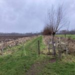 Leuk paadje in het natuurgebied