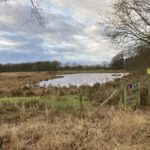 Een mooi natuurgebied