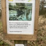 Omleiding in het natuurgebied