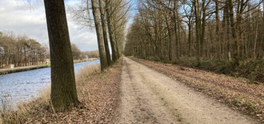 De weg langs het kanaal