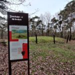 Grafheuvel in het bos