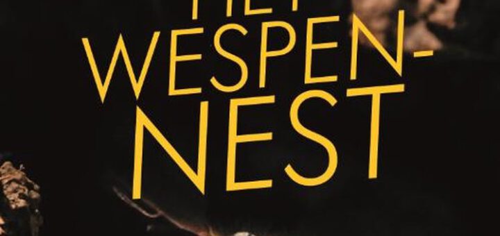 Boek : Agatha Christie - Het Wespennest