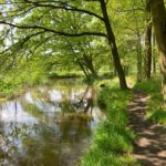 Een leuk paadje langs een kreek