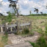 Hekjes en een leuk zandpad