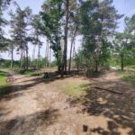 Een splitsing van zandwegen