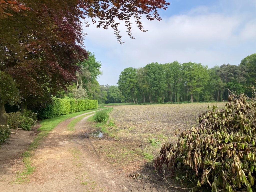 Een karrenspoor