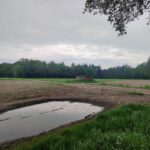 Een kruising van zandpaden