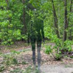 Een bijna onzichtbaar beeld