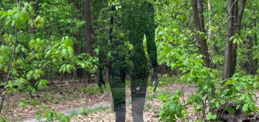 Een bijna onzichtbaar beeld