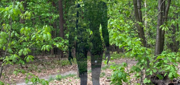 Een bijna onzichtbaar beeld