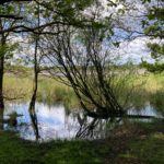 Een vennetje en een meertje