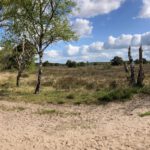 De rand van een zandvlakte